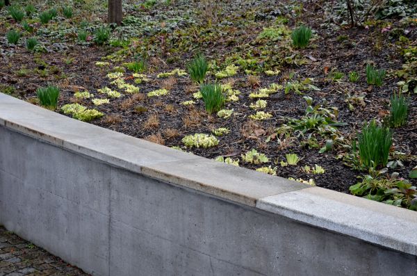 Concrete Wall Construction in Casper